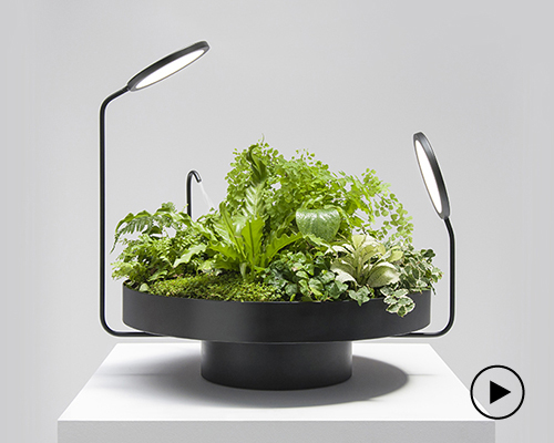 goula figuera blends luminaries with vegetation in viride collection