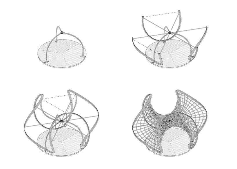 lucapoianforms_camboo