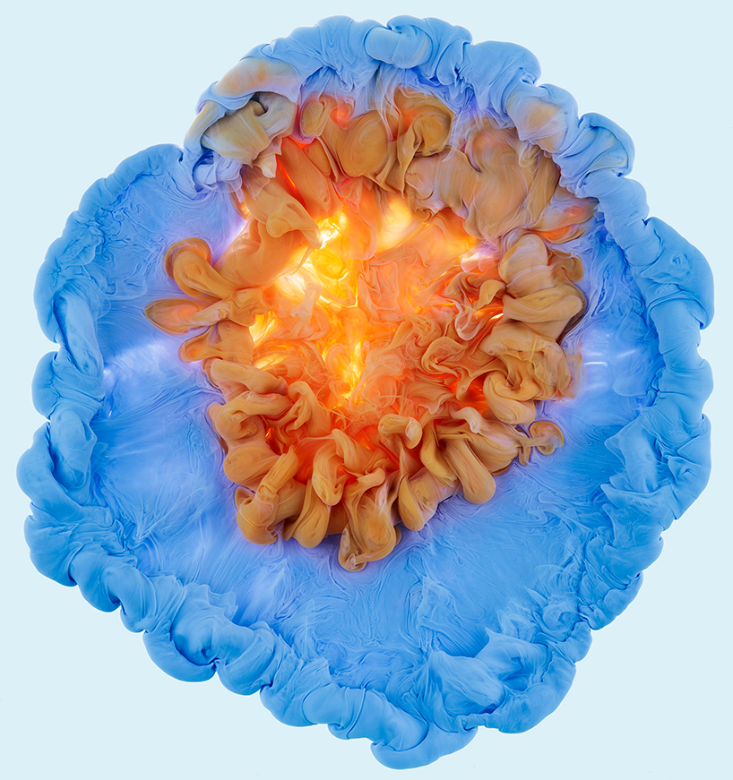 mark-mawson-flowers-and-swirls-photography-designboom-02