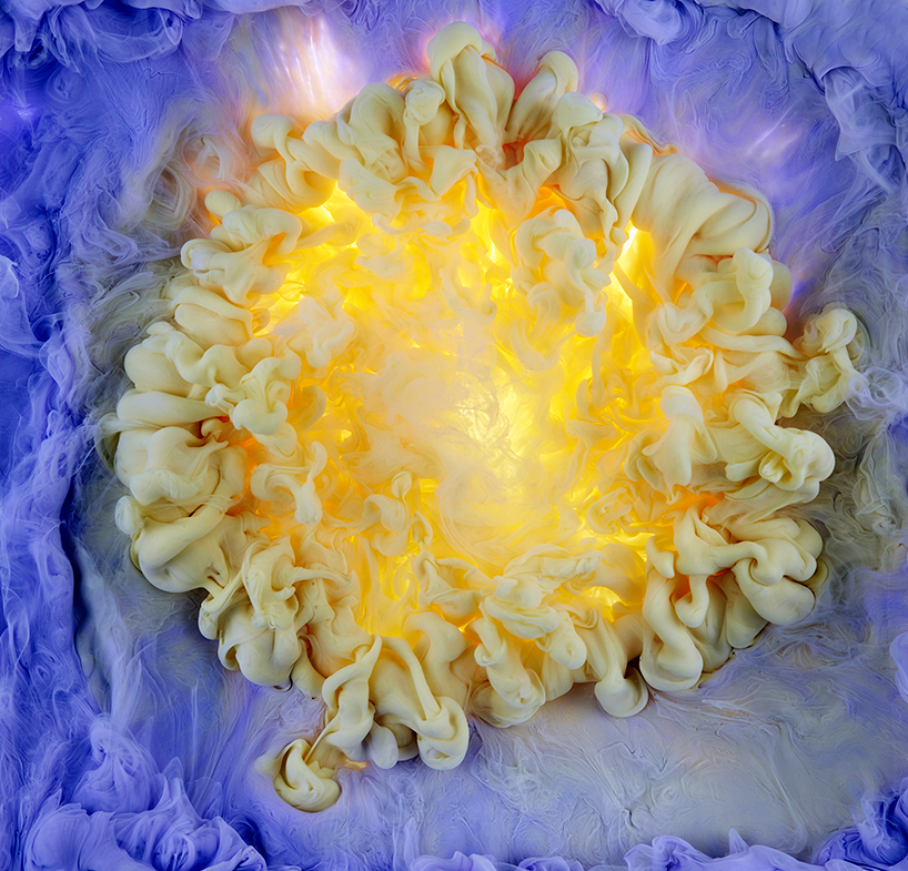 mark-mawson-flowers-and-swirls-photography-designboom-02