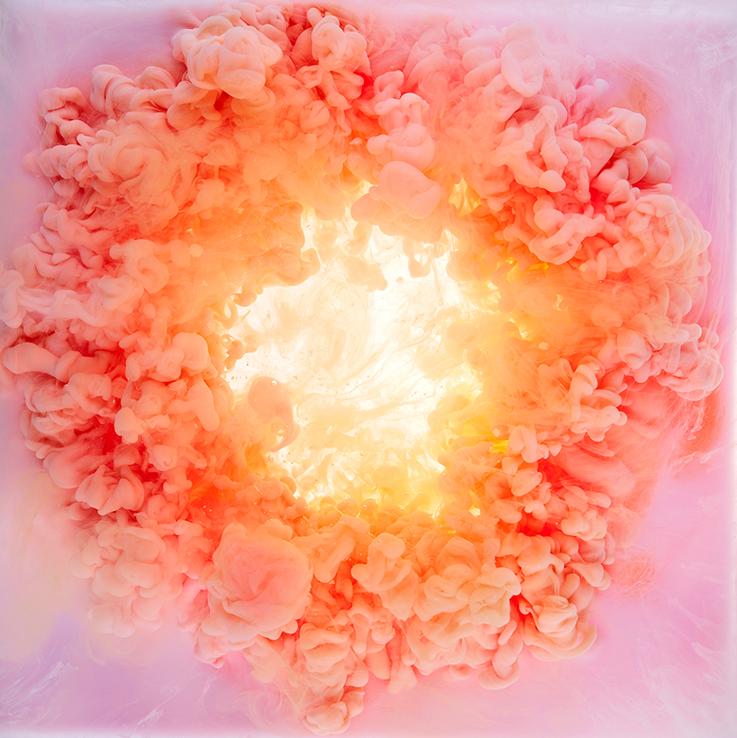 mark-mawson-flowers-and-swirls-photography-designboom-02