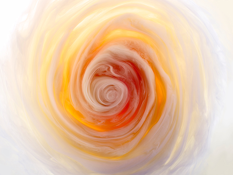 mark-mawson-flowers-and-swirls-photography-designboom-02