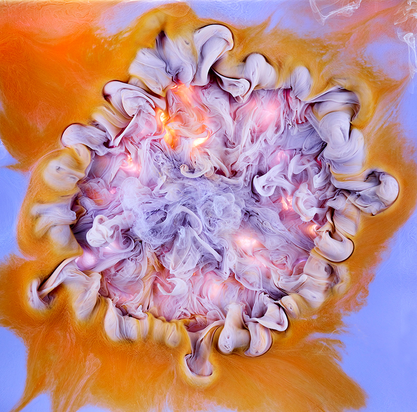 mark-mawson-flowers-and-swirls-photography-designboom-02