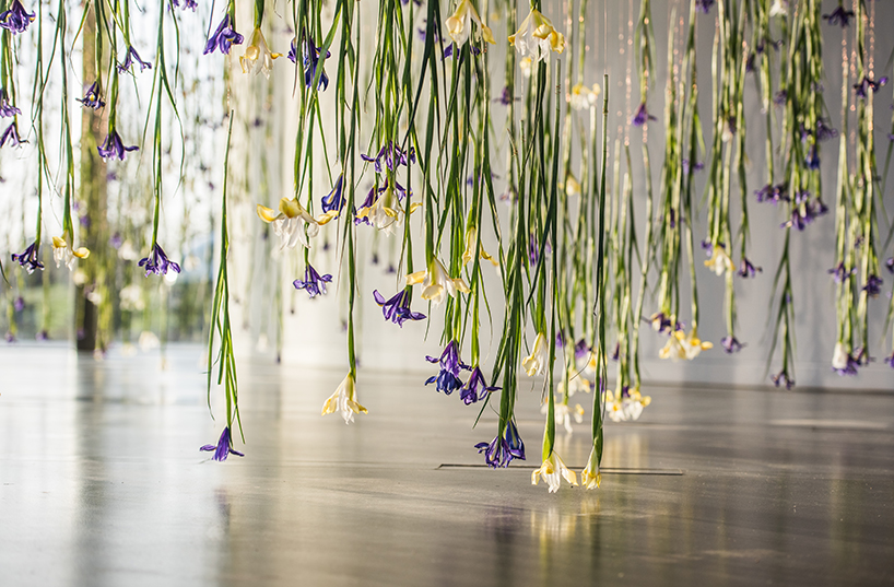 rebecca louise law now gallery