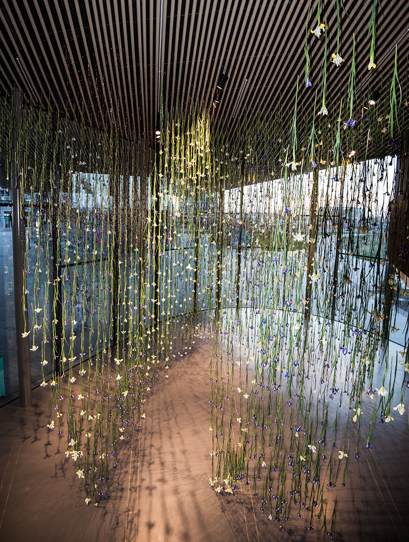 rebecca louise law now gallery