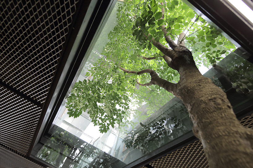 workstudioinplanthouse_ooffice