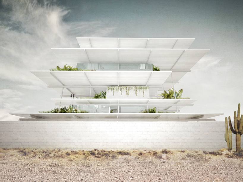 zeller and moye interview