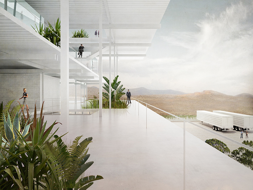 zeller and moye interview