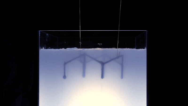 ezgif.com-video-to-gif (78)