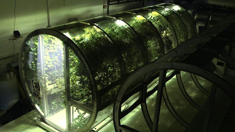 NASA designs inflatable greenhouse for sustainable farming ...