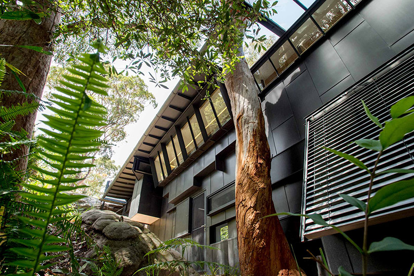 donaldsonhouse_glennmurcutt