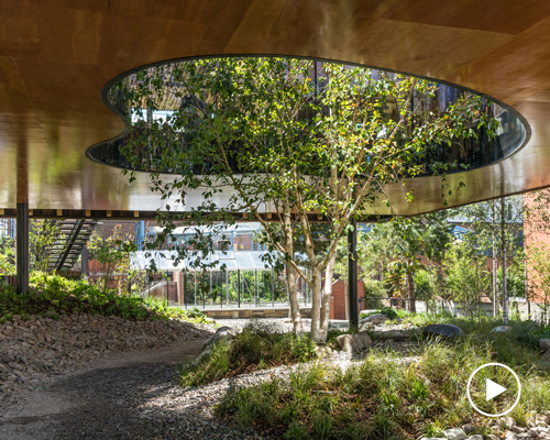 dRMM opens maggie's oldham, the world's first building made from hardwood CLT