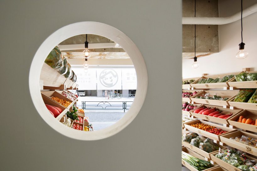 wonderwall vegeo vegeco