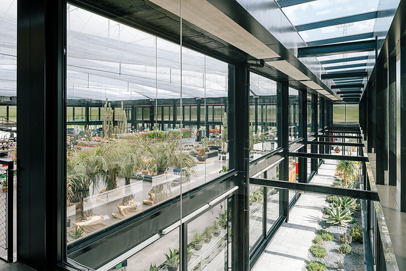 garciagerman arquitectos desert city