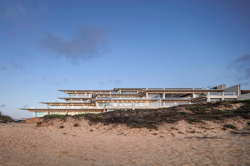 gottesman szmelcman arsuf