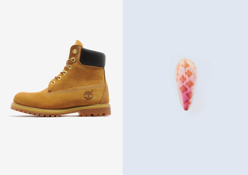 footwear sole impressions