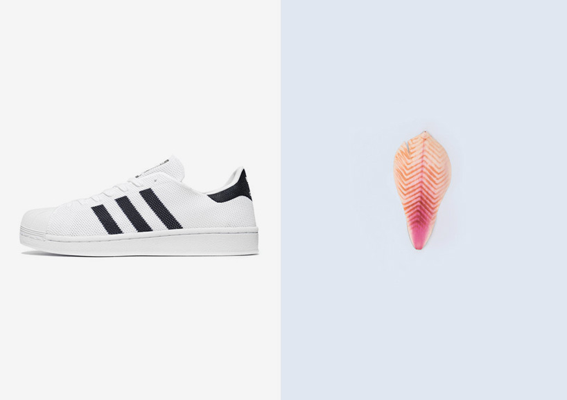 footwear sole impressions