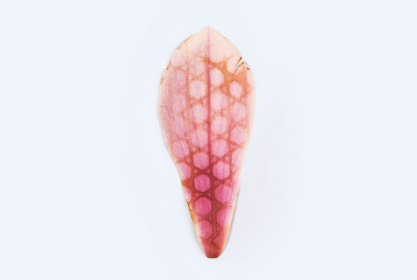 footwear sole impressions