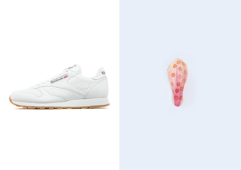 footwear sole impressions