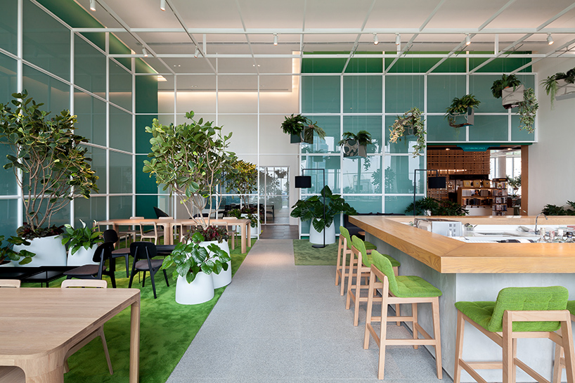 klein dytham open house