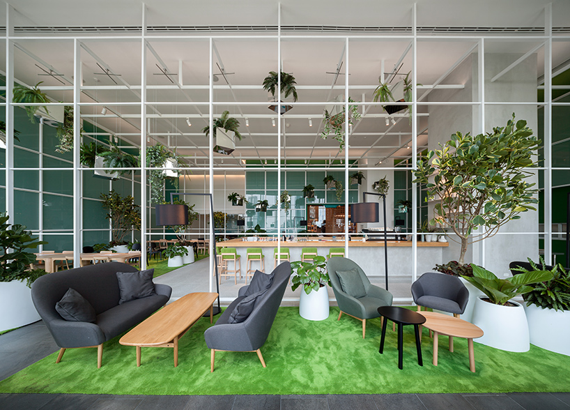 klein dytham open house