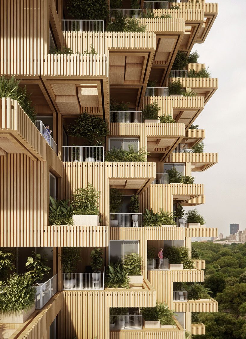 penda + tmber proposal for a timber tower bridges the gap between