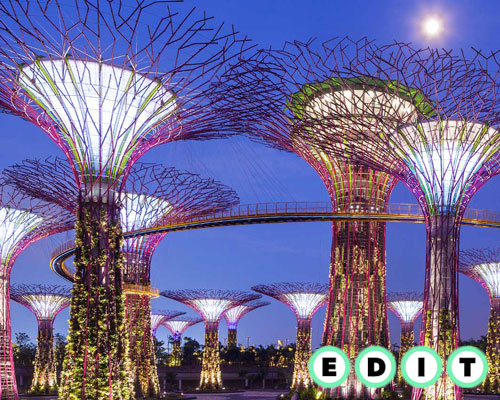 carlo ratti curates exhibition on bringing nature to urban spaces for EDIT festival in toronto