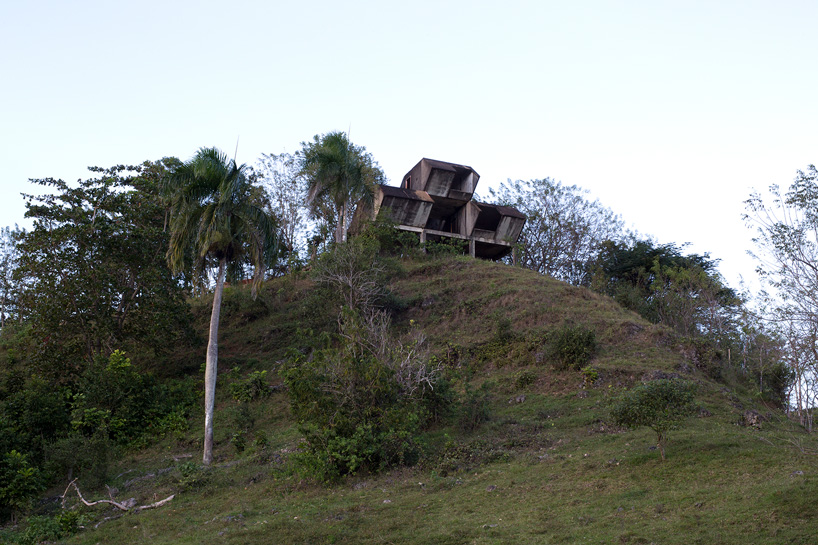 david hartt in the forest