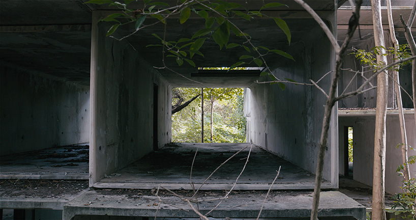 david hartt in the forest