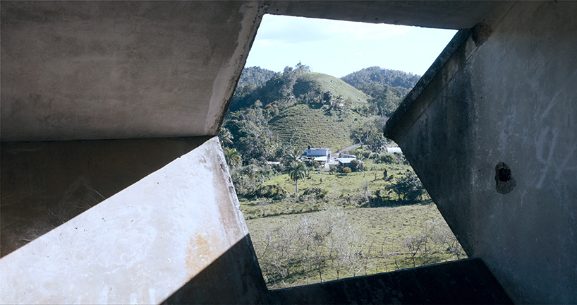 david hartt in the forest