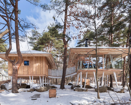 life style koubou integrates 'one year project' into japan's natural woodland habitat