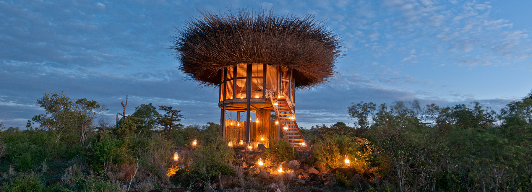 bird nest hotel room lets safari guests sleep above the trees