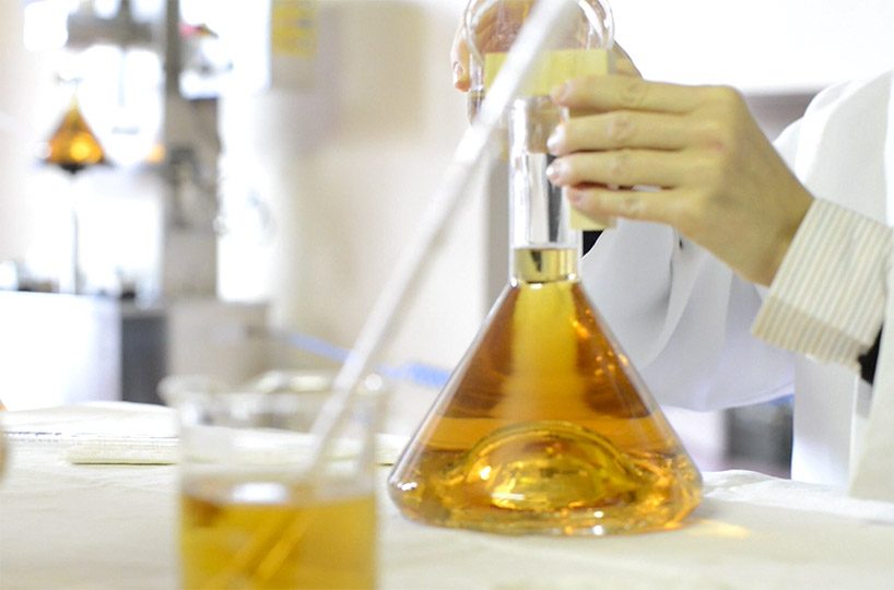 alessi leonardo da vinci wine bottle signora eugenia e il passero solitario designboom