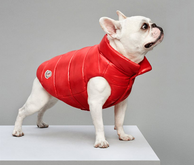 moncler quilted dog vest