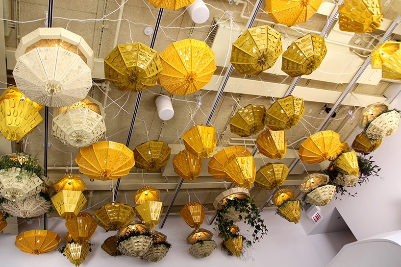 pedro y juana the commons museum contemporary art chicago designboom