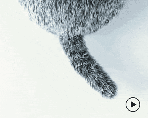 the qoobo cushion is an interactive, tail-wagging pillow that could replace your pet