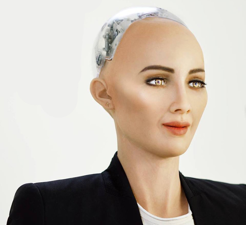 sophia robot features