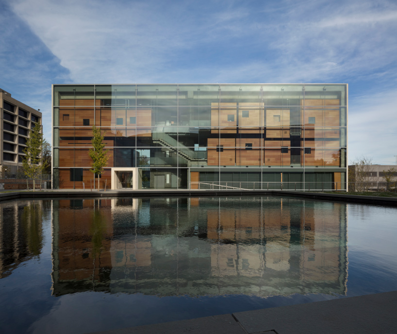 steven holl lewis arts complex