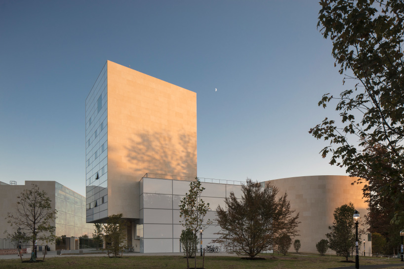 steven holl lewis arts complex