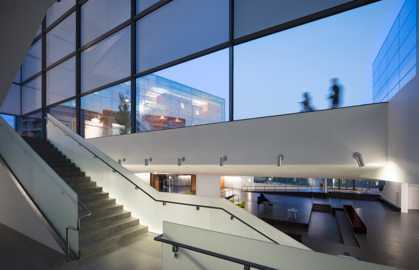 steven holl lewis arts complex