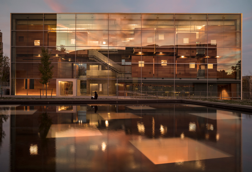 steven holl lewis arts complex