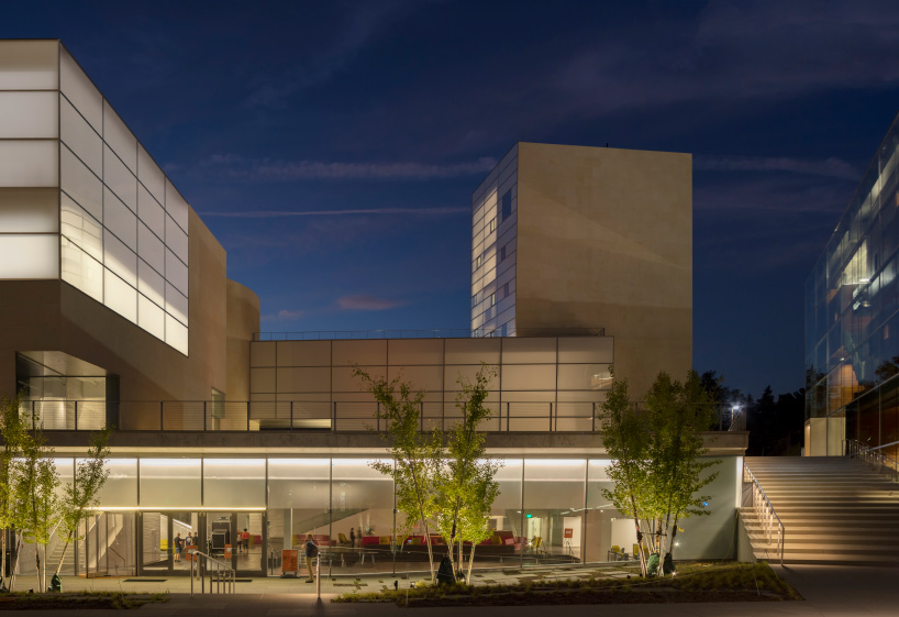 steven holl lewis arts complex
