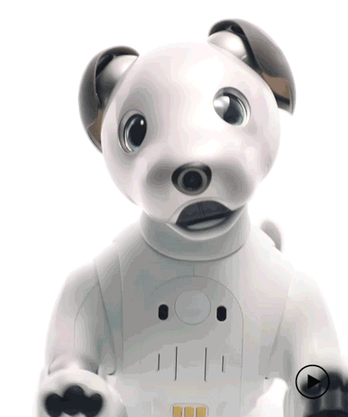 sony revives aibo the robot dog, a puppy bot with a perpetually