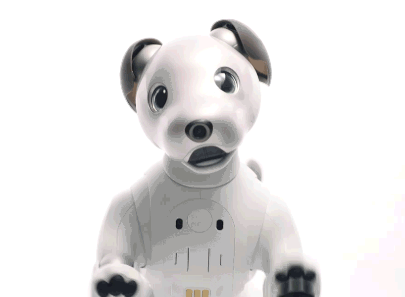 aibo cane robot