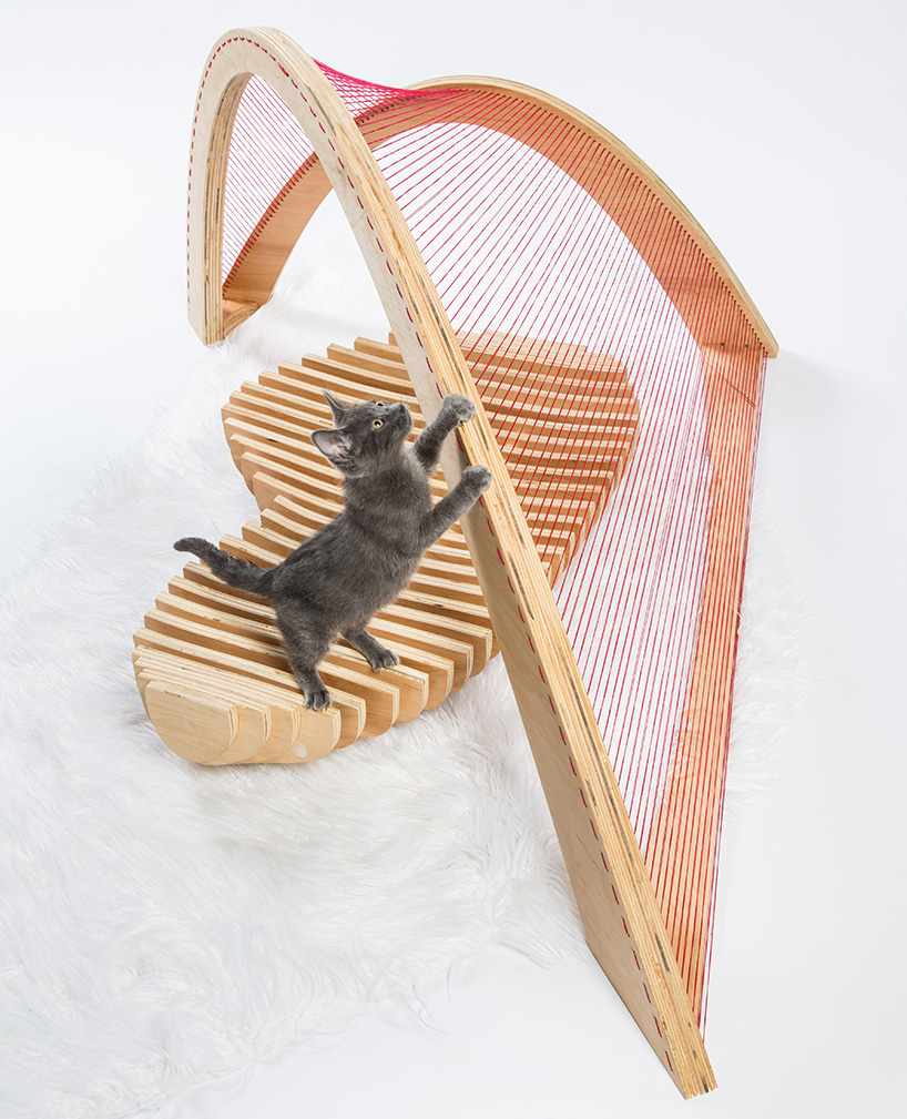 architect designed cat shelters