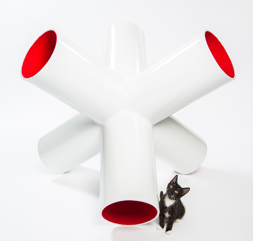 architect designed cat shelters