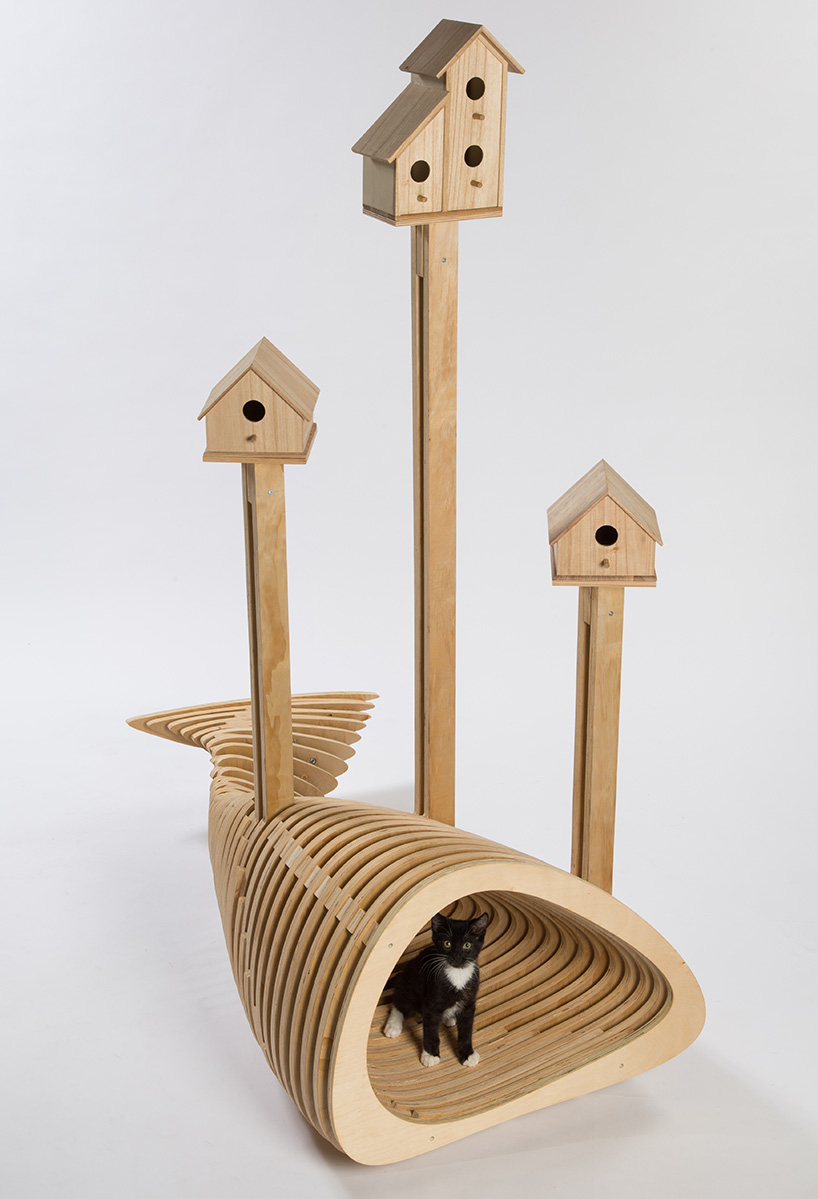 architect designed cat shelters