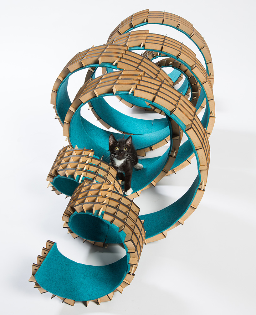 architect designed cat shelters