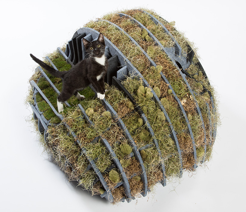 architect designed cat shelters