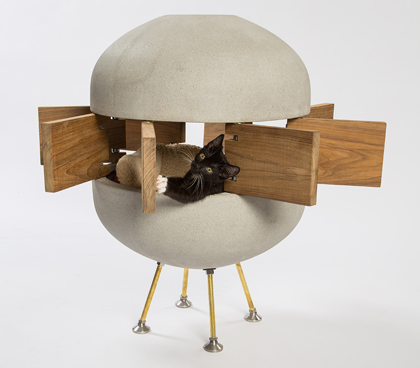 architect designed cat shelters